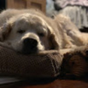 Meet your Posher, Kaitlyn